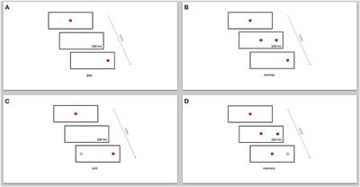 Reflexive and Intentional Saccadic Eye Movements in Migraineurs